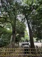 神明大神宮(神奈川県)