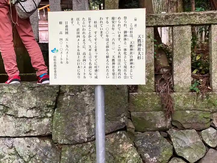 天鷹神社(岐阜県)