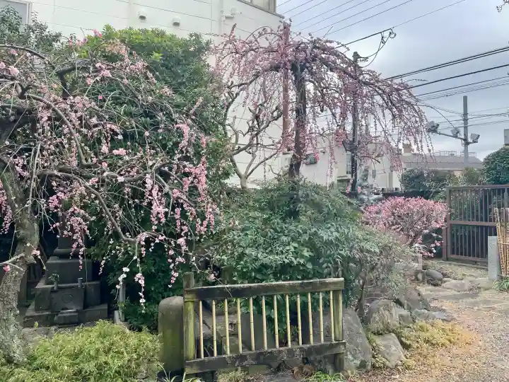 常泉寺の{uncategorized: "未分類", other: "その他", undefined: "問題あり", building: "その他建物", grave: "お墓", sacred_gate: "鳥居", guardian: "狛犬", statue: "像", buddha: "仏像", history: "歴史", nature: "自然", garden: "庭園", animal: "動物", pagoda: "塔", temizu: "手水舎", mountain_gate: "山門・神門", sanctuary: "本殿・本堂", subordinate: "末社・摂社", art: "芸術", scenery: "景色", jizo: "地蔵", ema: "絵馬", goshuin: "御朱印", omikuji: "おみくじ", items: "授与品その他", amulet: "お守り", goshuincho: "御朱印帳", eats: "食事", festival: "お祭り", votive_dance: "神楽", shichigosan: "七五三参", wedding: "結婚式", experience: "体験その他", initially: "初詣", around: "周辺", anti_infection: "感染症対策"}