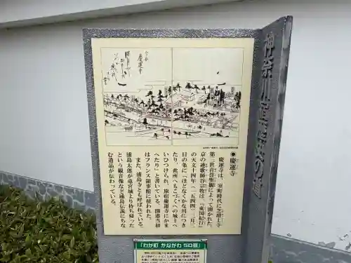 慶運寺の{uncategorized: "未分類", other: "その他", undefined: "問題あり", building: "その他建物", grave: "お墓", sacred_gate: "鳥居", guardian: "狛犬", statue: "像", buddha: "仏像", history: "歴史", nature: "自然", garden: "庭園", animal: "動物", pagoda: "塔", temizu: "手水舎", mountain_gate: "山門・神門", sanctuary: "本殿・本堂", subordinate: "末社・摂社", art: "芸術", scenery: "景色", jizo: "地蔵", ema: "絵馬", goshuin: "御朱印", omikuji: "おみくじ", items: "授与品その他", amulet: "お守り", goshuincho: "御朱印帳", eats: "食事", festival: "お祭り", votive_dance: "神楽", shichigosan: "七五三参", wedding: "結婚式", experience: "体験その他", initially: "初詣", around: "周辺", anti_infection: "感染症対策"}