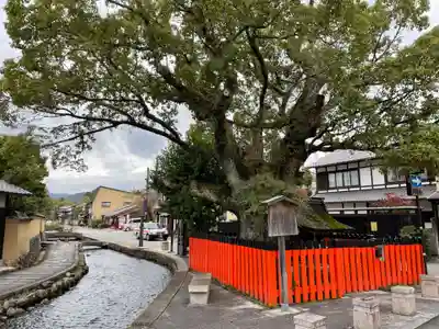 藤木社（賀茂別雷神社末社）(京都府)
