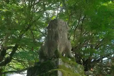 熊野速玉大社の狛犬