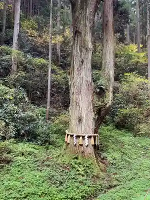 御岩神社(茨城県)