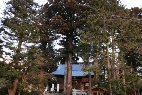 高司神社〜むすびの神の鎮まる社〜の景色