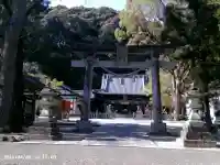 八幡神社松平東照宮の{uncategorized: "未分類", other: "その他", undefined: "問題あり", building: "その他建物", grave: "お墓", sacred_gate: "鳥居", guardian: "狛犬", statue: "像", buddha: "仏像", history: "歴史", nature: "自然", garden: "庭園", animal: "動物", pagoda: "塔", temizu: "手水舎", mountain_gate: "山門・神門", sanctuary: "本殿・本堂", subordinate: "末社・摂社", art: "芸術", scenery: "景色", jizo: "地蔵", ema: "絵馬", goshuin: "御朱印", omikuji: "おみくじ", items: "授与品その他", amulet: "お守り", goshuincho: "御朱印帳", eats: "食事", festival: "お祭り", votive_dance: "神楽", shichigosan: "七五三参", wedding: "結婚式", experience: "体験その他", initially: "初詣", around: "周辺", anti_infection: "感染症対策"}