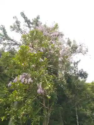 由加神社（和気由加神社）の自然