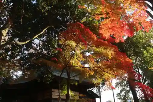 國祖神社の景色