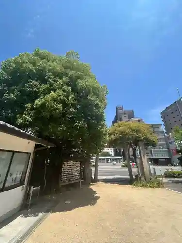 出雲大社松山分祠(愛媛県)