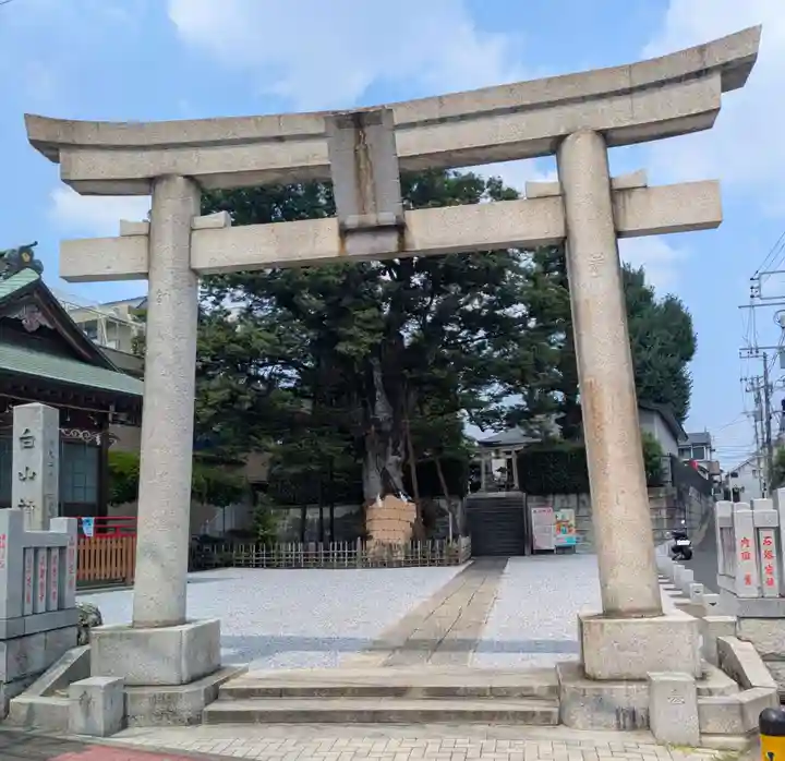 白山神社(東京都)