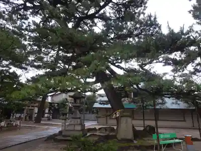 弥栄神社(大阪府)