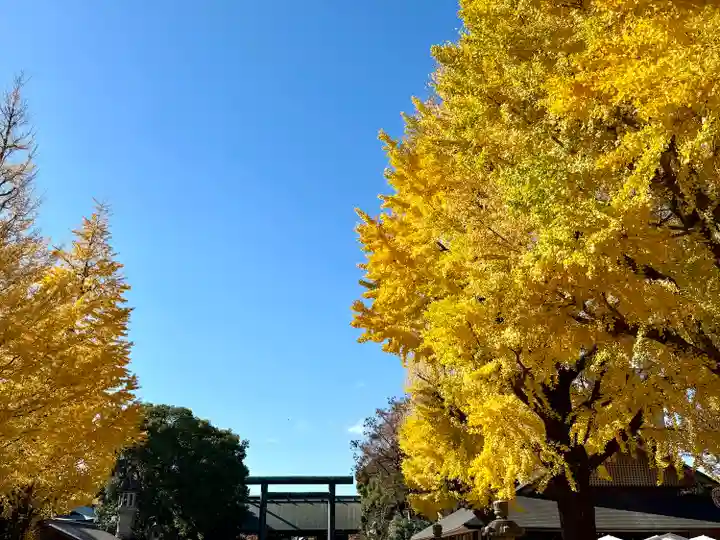 靖國神社(東京都)