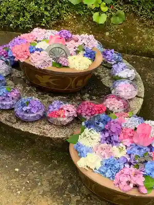 三室戸寺の手水舎