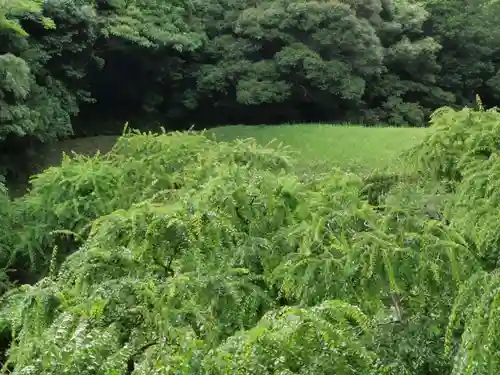 龍尾神社(静岡県)