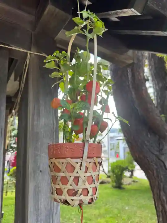 西野神社(北海道)