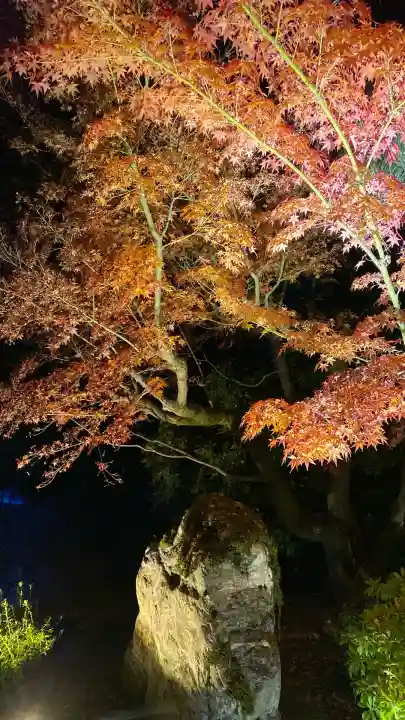 知恩院(京都府)