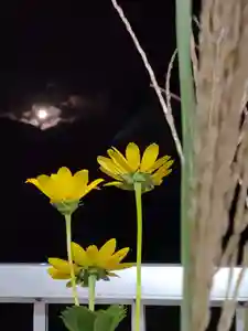 磐椅神社の自然(2021年09月22日(水) 07時59分01秒投稿)