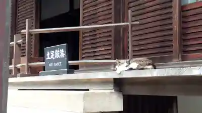 佛日庵の本殿・本堂