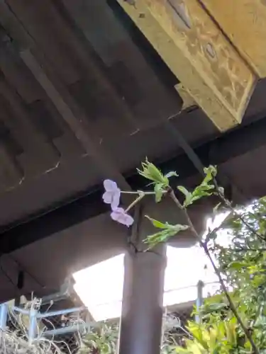 叶神社 (西叶神社)(神奈川県)