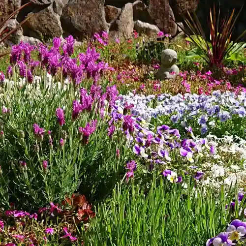 寿量山　速成寺の自然