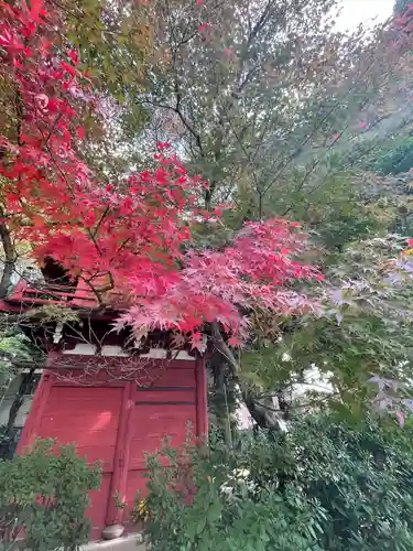 本土寺(千葉県)