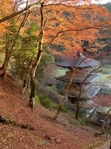 金剛院(京都府)