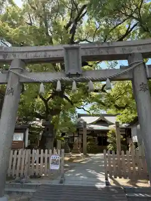 皇大神社の{uncategorized: "未分類", other: "その他", undefined: "問題あり", building: "その他建物", grave: "お墓", sacred_gate: "鳥居", guardian: "狛犬", statue: "像", buddha: "仏像", history: "歴史", nature: "自然", garden: "庭園", animal: "動物", pagoda: "塔", temizu: "手水舎", mountain_gate: "山門・神門", sanctuary: "本殿・本堂", subordinate: "末社・摂社", art: "芸術", scenery: "景色", jizo: "地蔵", ema: "絵馬", goshuin: "御朱印", omikuji: "おみくじ", items: "授与品その他", amulet: "お守り", goshuincho: "御朱印帳", eats: "食事", festival: "お祭り", votive_dance: "神楽", shichigosan: "七五三参", wedding: "結婚式", experience: "体験その他", initially: "初詣", around: "周辺", anti_infection: "感染症対策"}