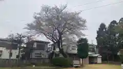 尉殿神社の自然