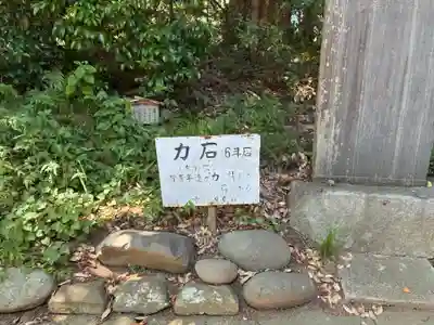 熊野神社(千葉県)