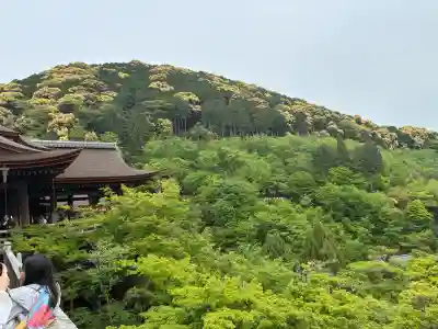 清水寺の{uncategorized: "未分類", other: "その他", undefined: "問題あり", building: "その他建物", grave: "お墓", sacred_gate: "鳥居", guardian: "狛犬", statue: "像", buddha: "仏像", history: "歴史", nature: "自然", garden: "庭園", animal: "動物", pagoda: "塔", temizu: "手水舎", mountain_gate: "山門・神門", sanctuary: "本殿・本堂", subordinate: "末社・摂社", art: "芸術", scenery: "景色", jizo: "地蔵", ema: "絵馬", goshuin: "御朱印", omikuji: "おみくじ", items: "授与品その他", amulet: "お守り", goshuincho: "御朱印帳", eats: "食事", festival: "お祭り", votive_dance: "神楽", shichigosan: "七五三参", wedding: "結婚式", experience: "体験その他", initially: "初詣", around: "周辺", anti_infection: "感染症対策"}