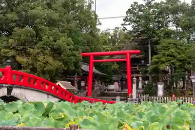 青井阿蘇神社(熊本県)