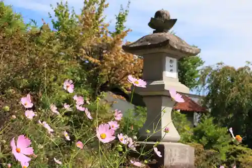 豊景神社の庭園