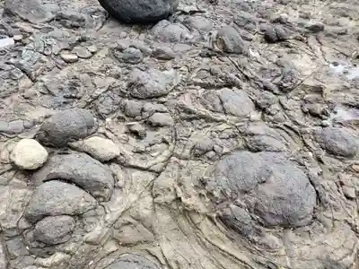 小島神社(長崎県)