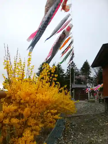 浦幌神社・乳神神社の自然