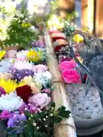 札幌護國神社の手水舎