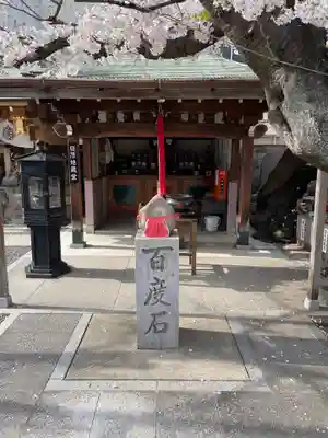 釋迦院（釈迦院）の体験その他