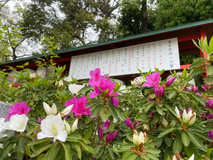 和泉國一之宮 大鳥大社のその他建物