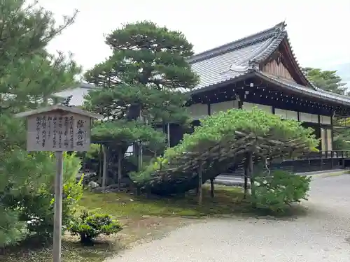 鹿苑寺（金閣寺）(京都府)