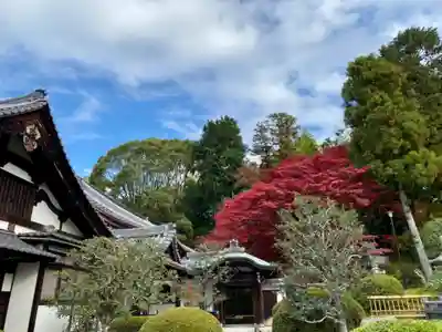 榮攝院（栄摂院）のその他建物