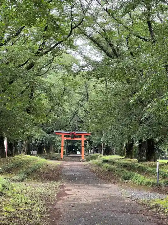 東蕗田天満社(茨城県)