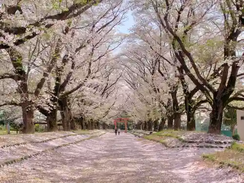 東蕗田天満社の自然