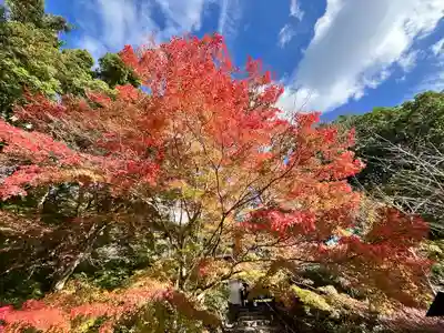 出雲大神宮(京都府)