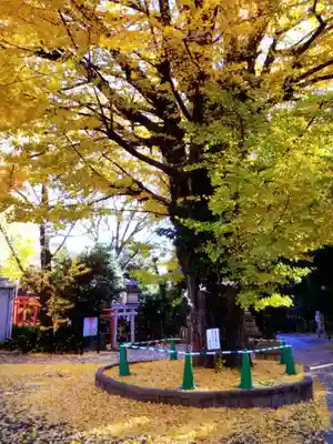 鳩森八幡神社(東京都)