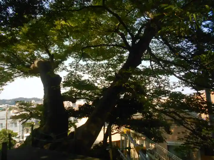 六代山不動院の自然