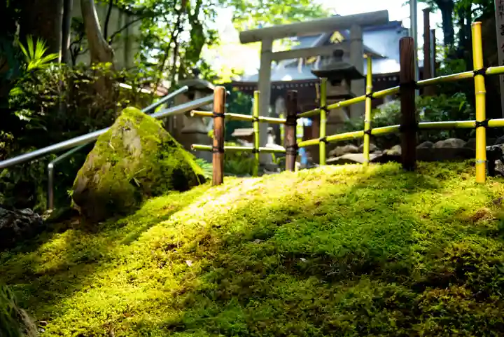 子安神社の自然