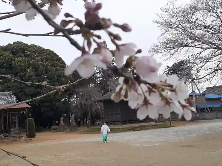 伏木香取神社の自然