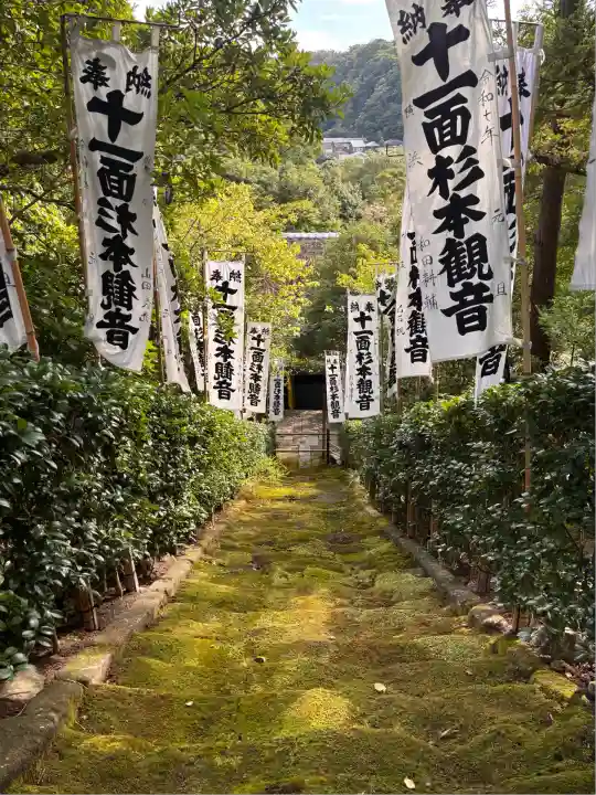 杉本寺の自然