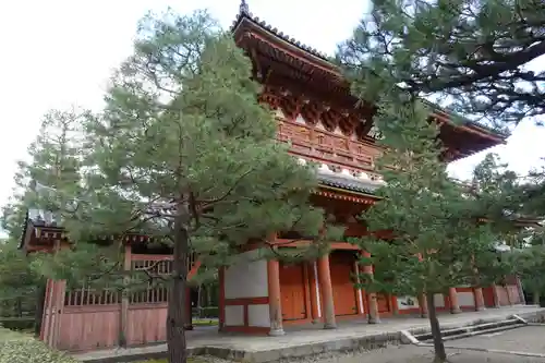 大徳寺の山門