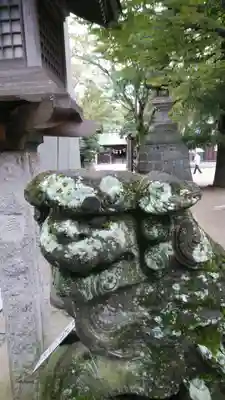 意富比神社の狛犬