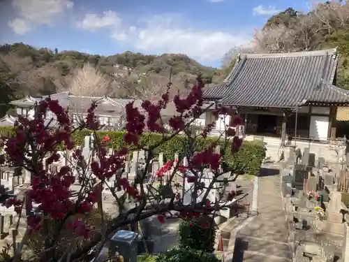 来迎寺（西御門）(神奈川県)