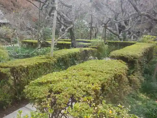 瑞泉寺の庭園